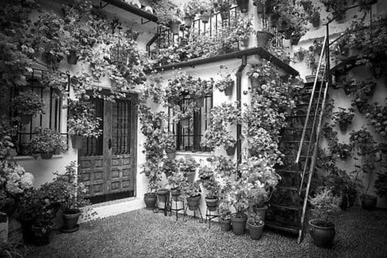 Foto en blanco y negro de los patios de Córdoba.