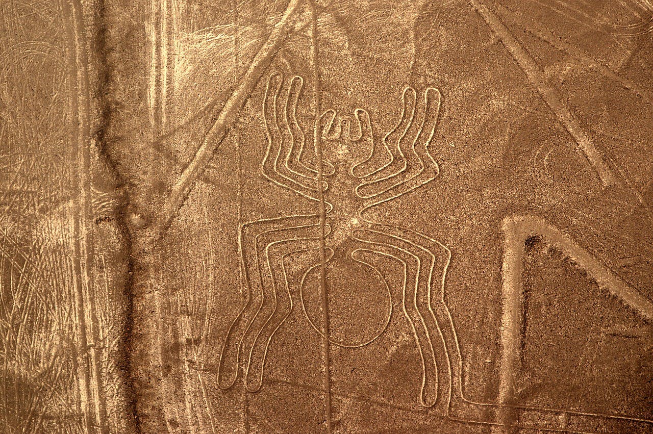 Araña de Nazca
