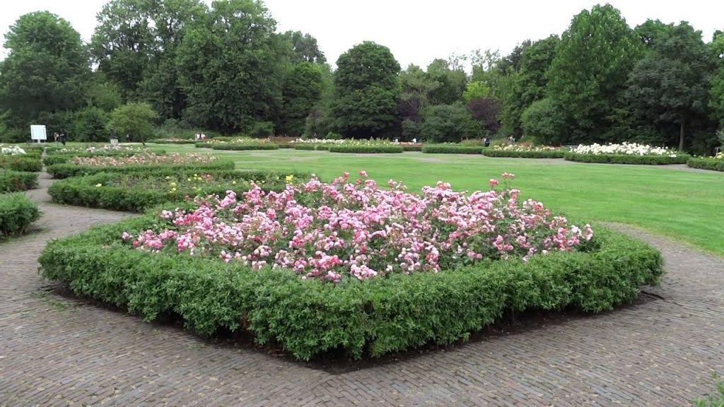 Rosas en el Rosarium de Vondelpark.