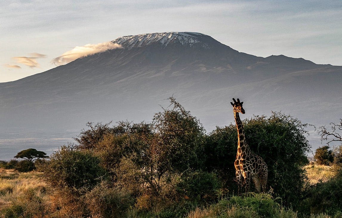 safari-en-kenia.jpg