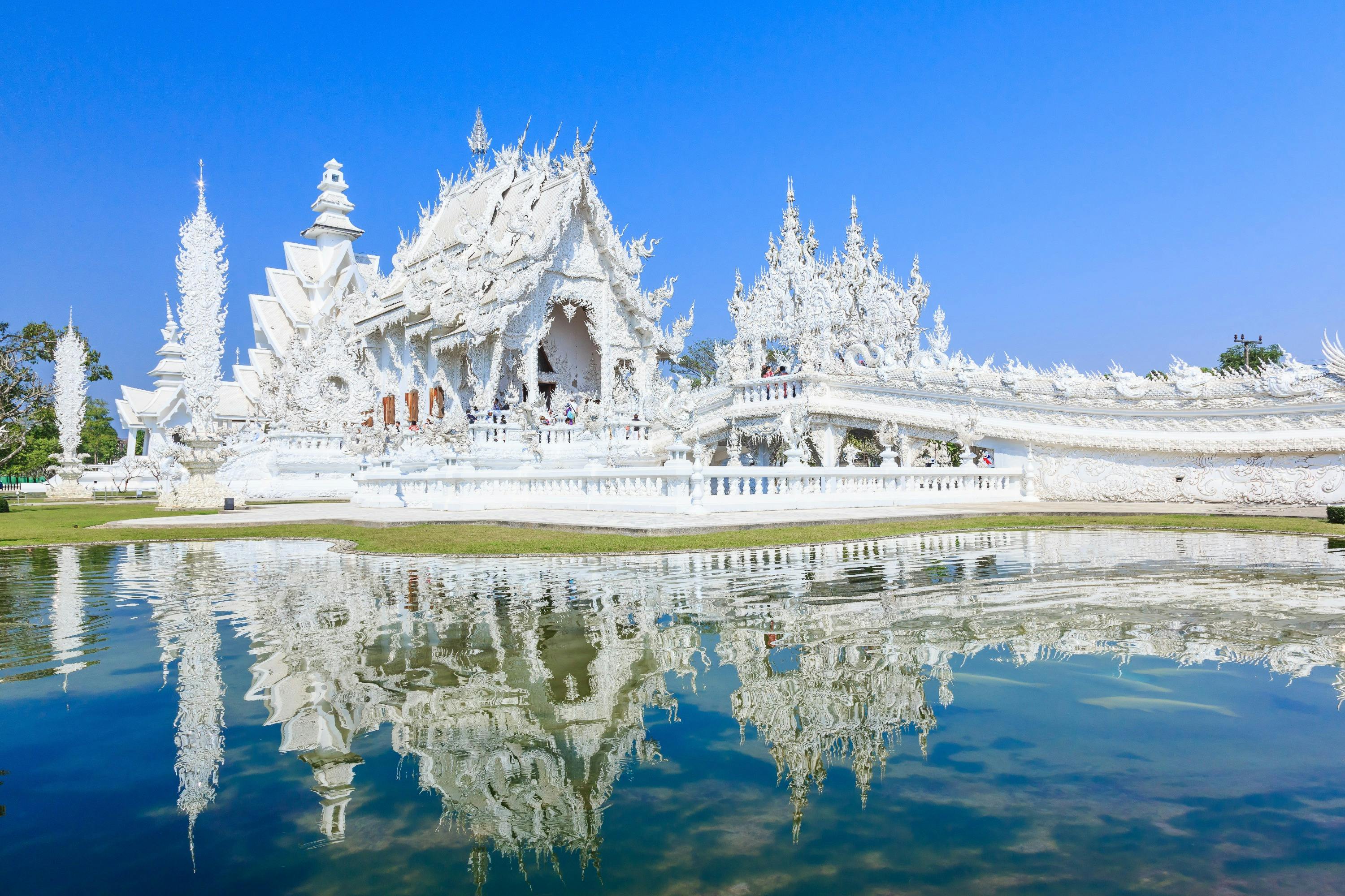 Imagen del tour: Chiang Rai Temples Tour: White Temple, Blue Temple & Black House
