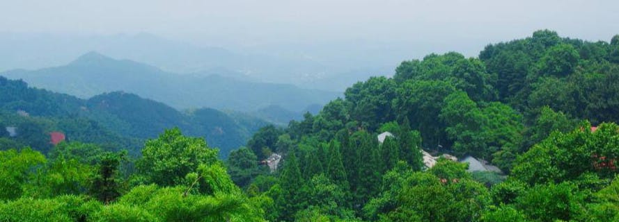Imagen del tour: Mount Mogan Hiking Day Tour from Hangzhou