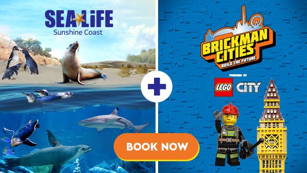 Imagen del tour: SEA LIFE Sunshine Coast Aquarium Entry Tickets