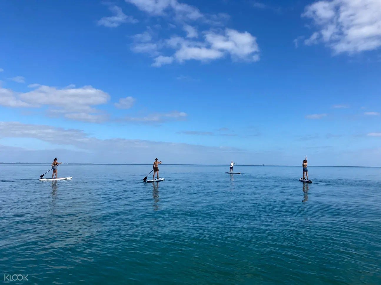 Imagen del tour: Stand Up Paddle Boarding, Lunch and Hot Spring Experience in Mornington Peninsula
