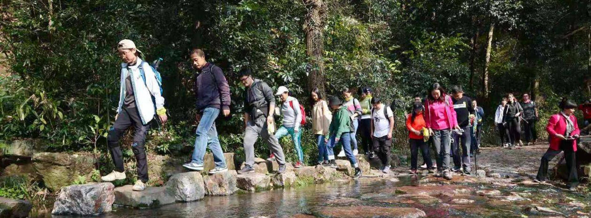 Imagen del tour: West Lake and Longjing Village Private Hiking Day Tour from Hangzhou