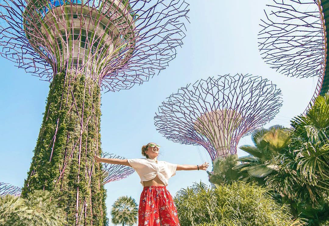 Imagen del tour: Entradas para el jardín botánico Gardens by the Bay en Singapur